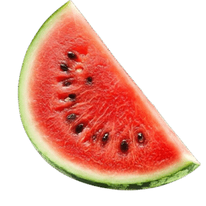 Sandia