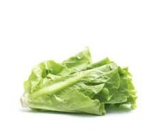 Lechuga